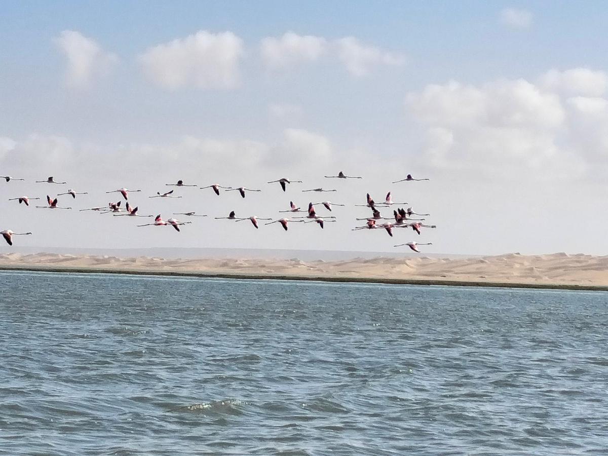 Hotel El ghazi Tarfaya Buitenkant foto